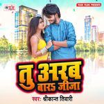 Tu Arab Bara Jija Album Download