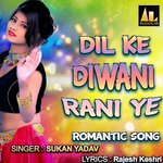 DIL KE DIWANI RANI YE ROMANTIC SONG Album Download