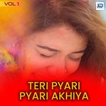 Teri Pyari Pyari Akhiya , Vol. 1 - Nikesh Mishra Song Download