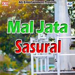 Mal Jata Sasural - Arvind Sawariya Song Download