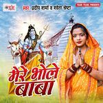 Mere Bhole Baba Album Download