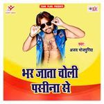 Bhar Jata Choli Pasina Se Album Download