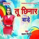 Tu Chhinar Bade Album Download