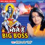 Bhole Hai Big Boss Album Download