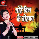 Tohe Dil Ke Tofa - Suraj Singh Song Download