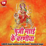 Puji Mai Ke Charniya Album Download