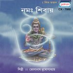Bholanath Mukhopadhyay Songs MP3 Download