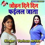 Joban Dine Din Failal Jata - Mitthu Marshal Song Download