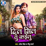 Dil Sil Tu Kailu Album Download