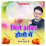 Mile Aawa Holi Me Album Download