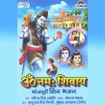 Ravindra Singh Jyoti Songs MP3 Download