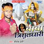 Baba Trishul Dhari Album Download