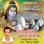 Naache Bhola Damru Bajake Album Download