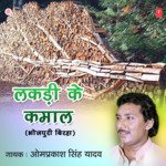 Lakdi Ke Kamaal Album Download