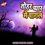Tohara Pyar Me Pagal - Vijay Bahar Song Download