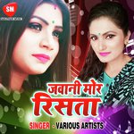 Jawani Mor Rista Album Download