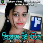 Dilwa Ke Cheer Album Download