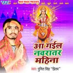 Aa Gail Navratar Mahina Album Download