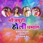 Bhojpuri Holi Dhamaal MP3 Download