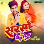 Sarso Ke Tel Album Download