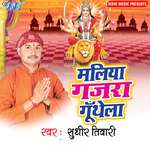 Maliya Gajra Guthela Album Download