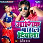 Aashiq Pagal Deewana Album Download