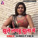 Jhule Lagabu Jhula Me Album Download