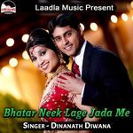 Bhatar Neek Lage Jada Me Album Download