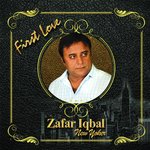 Zafar Iqbal New Yorker Songs MP3 Download