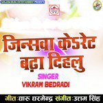 Vikram Bedradi