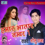Hamar Bhatar Number 1 Album Download