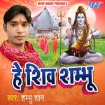 He Shiv Shambhu - Chhotu Sagar Song Download
