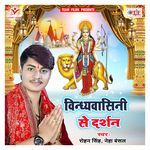 Vindhyavasini Se Darshan Album Download