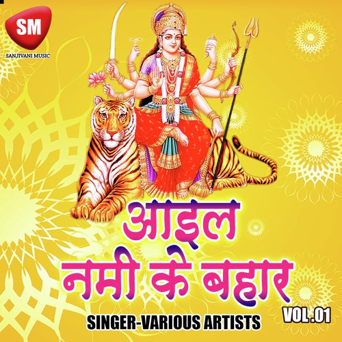 Aail Nami Ke Bahar Vol-1 Bhuttu Shyam Rasiya MP3 Download