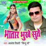 Bhatar Bhukhe Sute Album Download