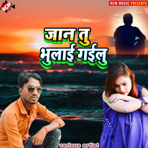 Jan tu bhulai gailu Durgesh nishad MP3 Download