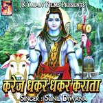 Karej Dhakar Dhakar Karata Album Download