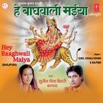 Hey Baaghwali Maiya Album Download