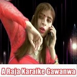 Jamil Raj Songs MP3 Download