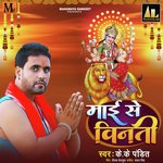 MAI SE VINTI Album Download