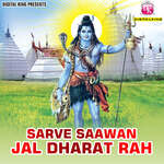 Sarve Saawan Jal Dharat Rah - Sayam Dehati Song Download
