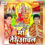 Maa Tere Aanchal Album Download