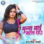 Munna Bhai Satal Raha Album Download