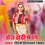 Tora Dhodi Me Rang Album Download