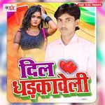 Dil Dhadkaweli Album Download