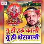 Tu Hi Hau Kali Tu Hi Sherawali Album Download
