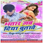 Bhatar Jab Diya Butabe Album Download