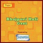 Ravindar Raju Songs MP3 Download