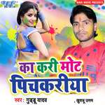 Ka Kari Mot Pichkari Album Download