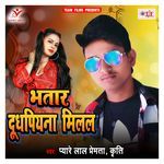 Bhatar Dudhpiyna Milal Album Download